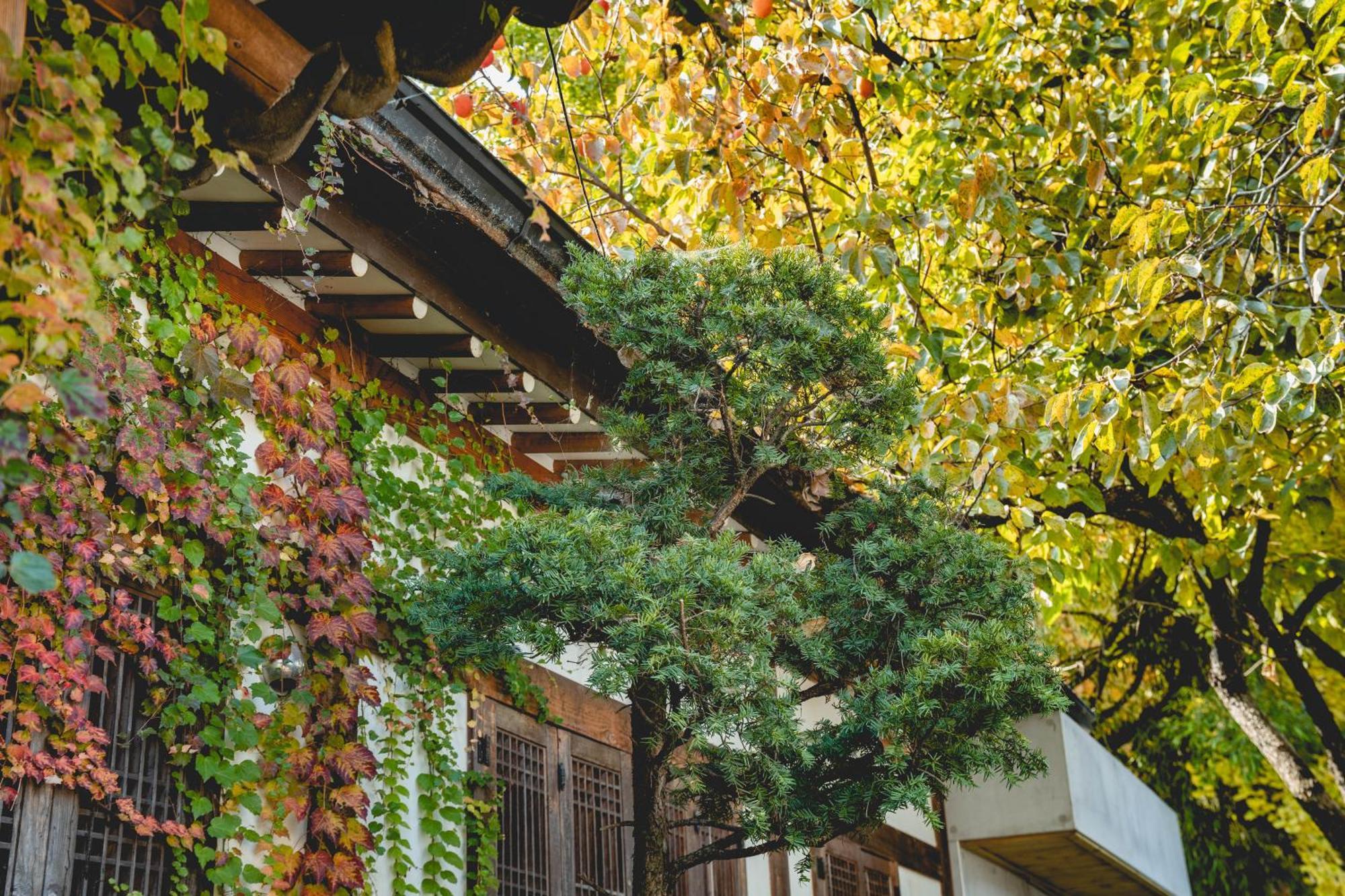 Hotelarrive Jeonju Sihwayeonpung Exteriör bild